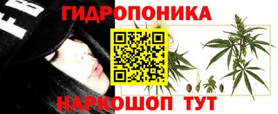 крисы Гагарин