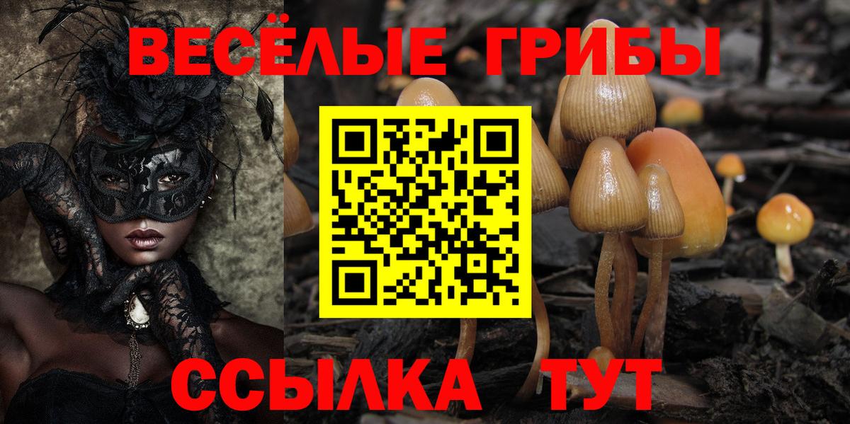 Псилоцибиновые грибы мухоморы  Вход с VPN  Гусиноозёрск 